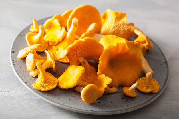 Chanterelles fraîches crues sur fond gris