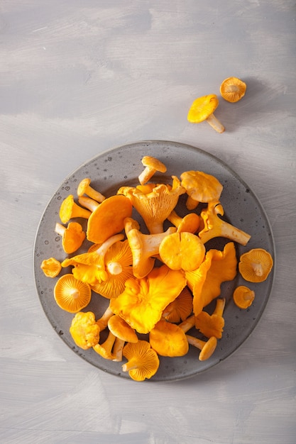 Chanterelles fraîches crues sur fond gris