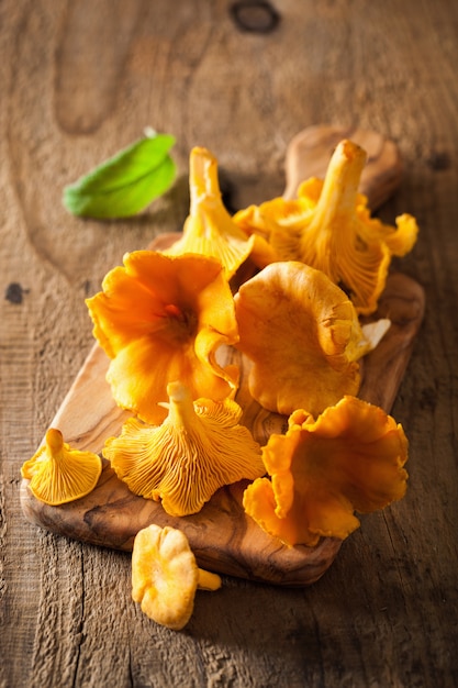 Chanterelles fraîches crues sur fond noir