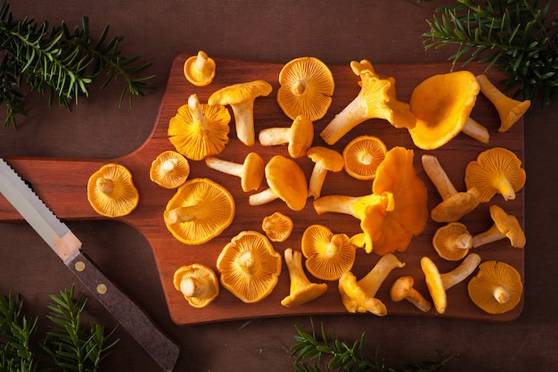 Chanterelles fraîches crues sur fond sombre