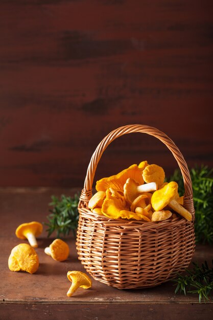 Chanterelles fraîches crues sur fond sombre