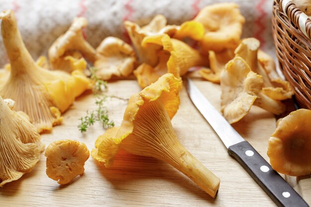 Chanterelles fraîches sur la table. Champignons après nettoyage