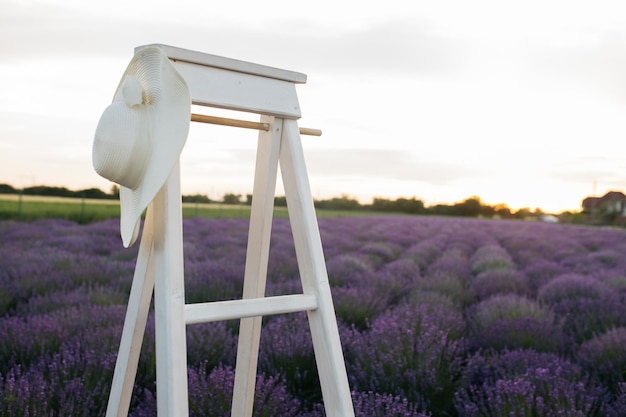 Chapeau blanc sur fond lavande