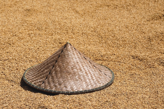 Chapeau conique asiatique Tradition et riz de séchage