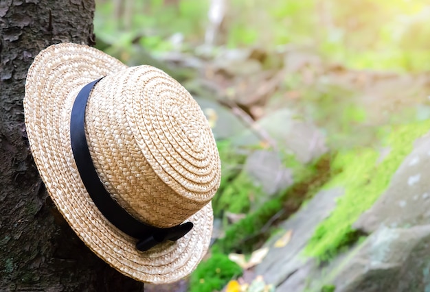 Photo chapeau de paille sur l'arbre en forêt. notion d'envie d'errance. touristes faisant de la randonnée dans les montagnes. voyager dans la nature.