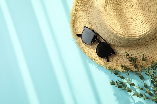 Chapeau de paille, branche et lunettes de soleil sur fond isolé bleu