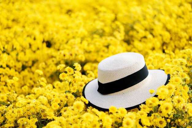 Chapeau de paille sur fond de champs de folwer jaune