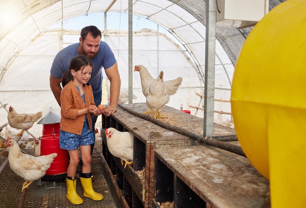 Chaque enfant devrait faire l'expérience de l'agriculture. Plan d'une jeune fille aidant son père dans leur ferme avicole.