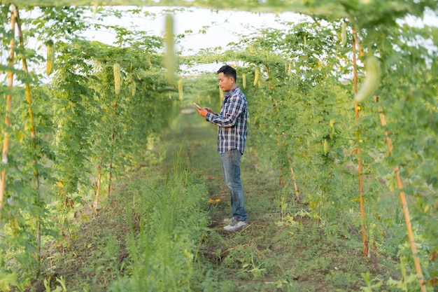 Chargé de recherche agricole