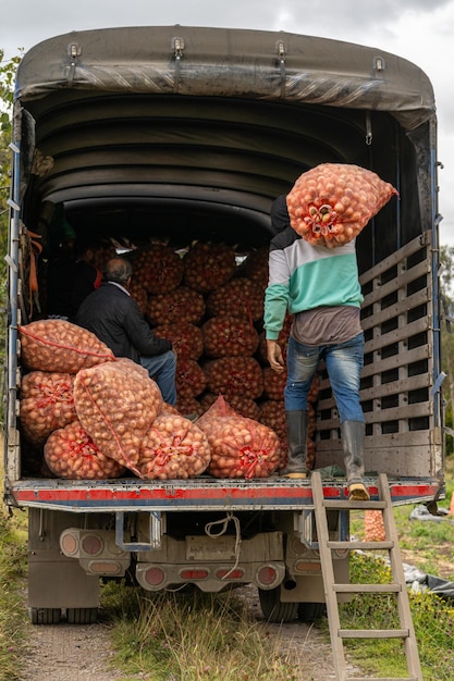 Photo chargement du camion avec des sacs d'oignons agricoles en latam cargador de costales de comida