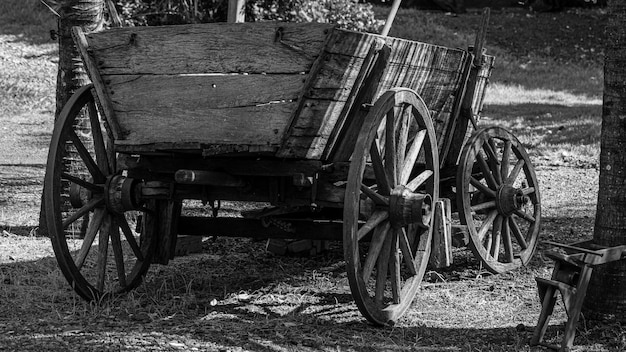 Photo chariot abandonné sur le terrain