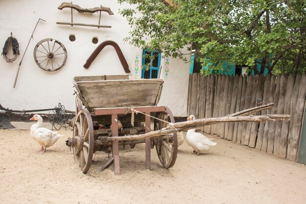 Un chariot en bois sur un fond de mur blanc