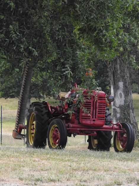 Photo un chariot dans le parc.