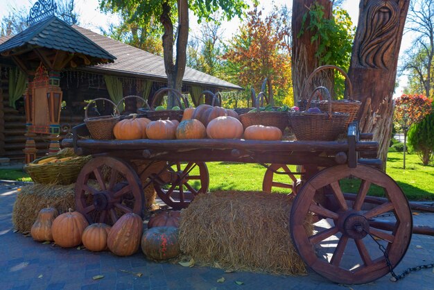 Chariot décoratif en bois de citrouilles à l'extérieur du concept d'halloween ou d'action de grâce