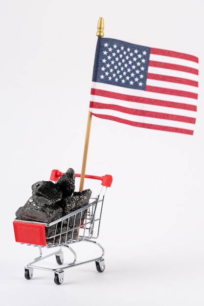 Chariot d'épicerie chargé de charbon fossile vendant du carburant sous drapeau américain