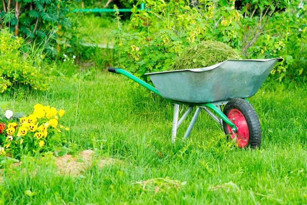 Chariot de jardin avec de l'herbe tondue