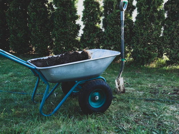 Chariot de jardin pour planter des palnts dans le jardin avec pelle arbre vert