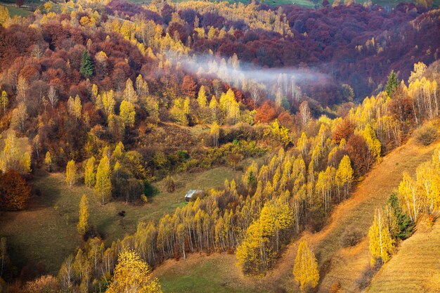 Un charmant paysage de montagne dans les Carpates, Roumanie