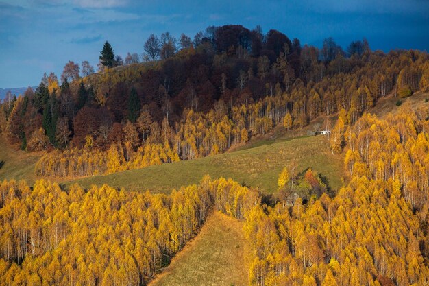 Un charmant paysage de montagne dans les montagnes Bucegi, Carpates, Roumanie. Nature d'automne à Moeciu