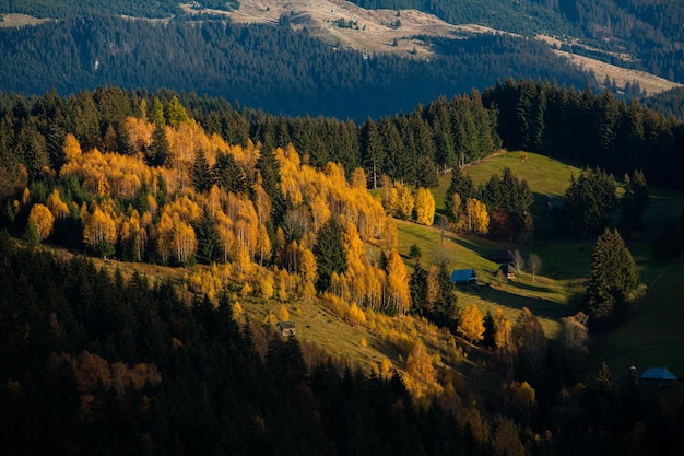 Un charmant paysage de montagne dans les montagnes Bucegi, Carpates, Roumanie