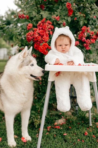 Charmant Petit Garçon En Costume D'ours Assis Sur Une Chaise Haute Avec Un Chien Husky Le Regardant.