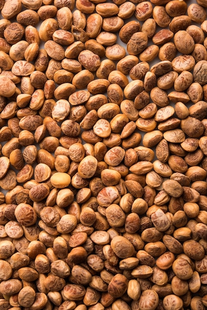 Charolya indienne, Buchanania lanzan, graines de noyaux d'amandes dans un bol ou une pile. mise au point sélective