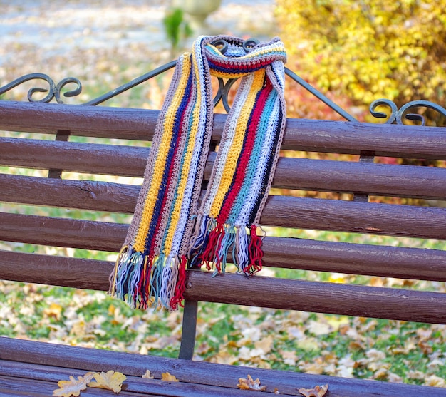 Écharpe sur un banc dans le jardin