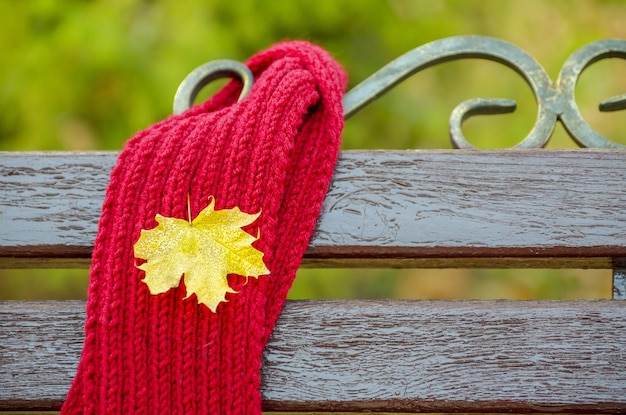 Écharpe sur un banc dans le jardin