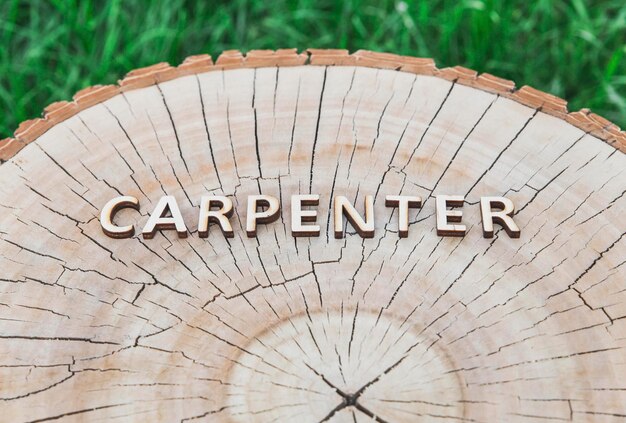 charpentier mot fait de lettres en bois sur souche dans la forêt