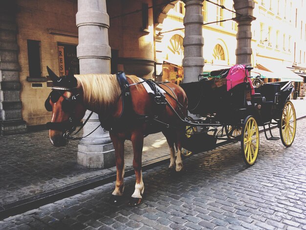 Une charrette à cheval dans la rue de la ville