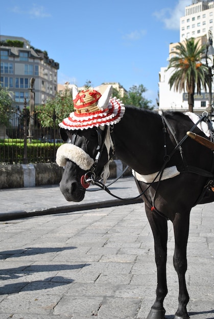 Photo une charrette de chevaux contre les arbres