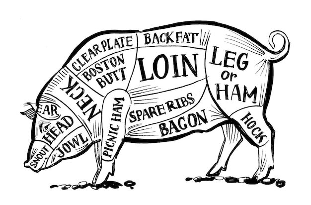 Charte de boucherie cochon. Dessin noir et blanc à l'encre