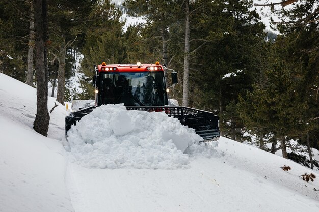 Chasse-neige