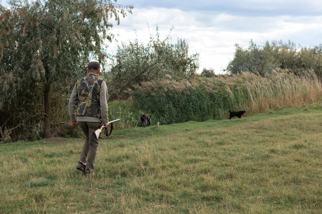 Un chasseur adulte avec un fusil en marchant sur le champ avec ses chiens.