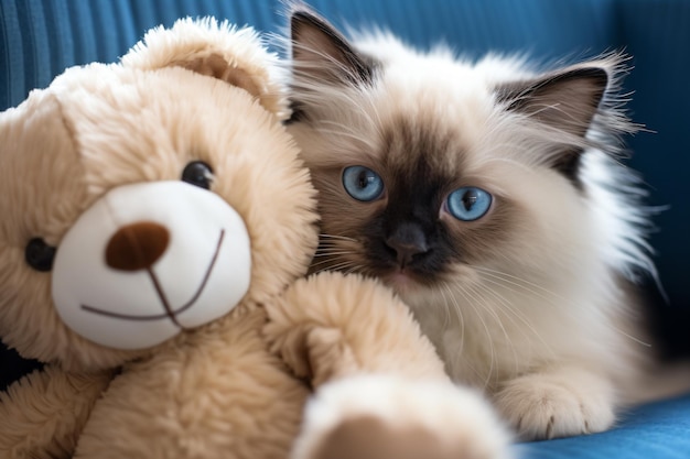 Photo un chat assis à côté d'un ours en peluche sur un canapé