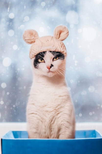 Chat au chapeau de souris en hiver