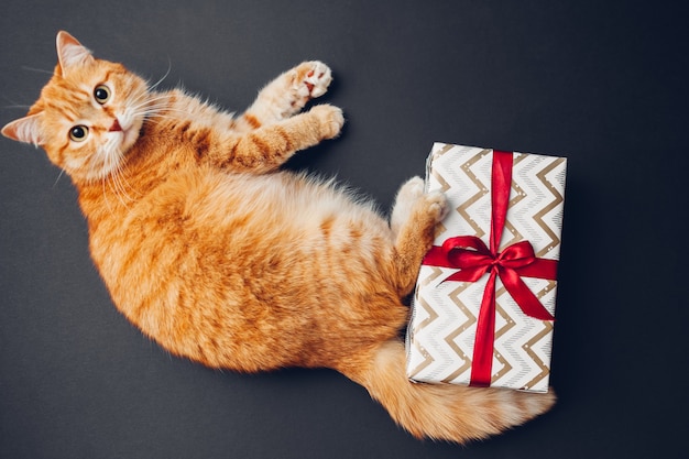 Le chat au gingembre joue avec une boîte-cadeau de Noël et du nouvel an enveloppée dans du papier et décorée de ruban rouge