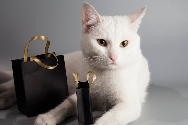 Le chat blanc est assis avec des sacs noirs avec une vente du vendredi noir