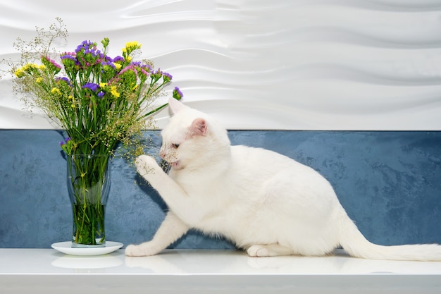 Le chat blanc joue et renifle des fleurs dans un vase.
