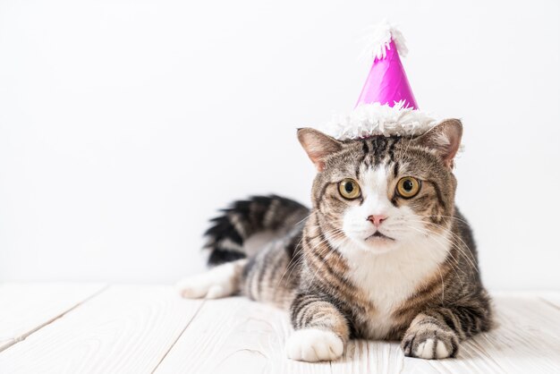 Chat Avec Chapeau De Fête