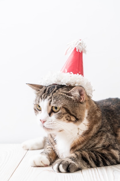 chat avec chapeau de fête