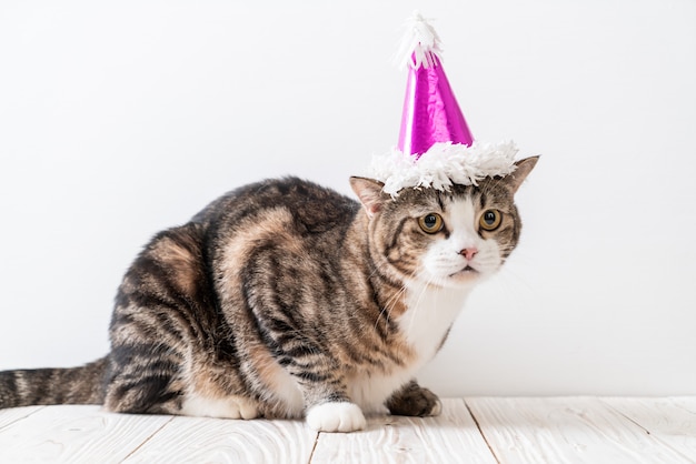 chat avec chapeau de fête