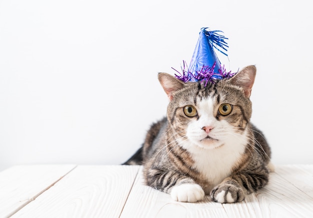 chat avec chapeau de fête