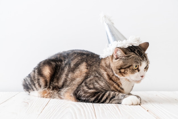 chat avec chapeau de fête