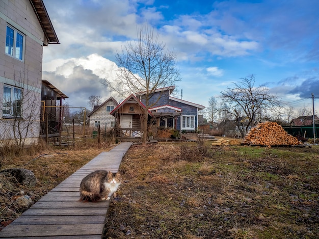 Chat de cour et maison de ferme avec du bois de chauffage au début du printemps. Vue spectaculaire sur le domaine au printemps.