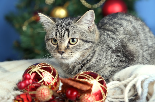 Chat dans des guirlandes de fête sur fond d'arbre de Noël