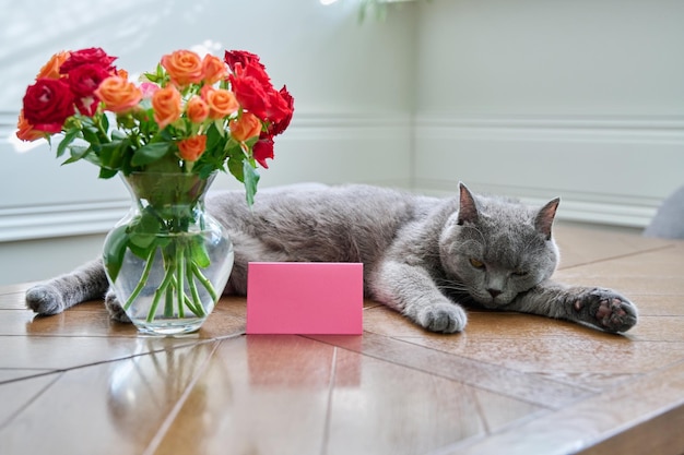 Chat détendu allongé sur une table avec bouquet de fleurs dans un vase et une carte