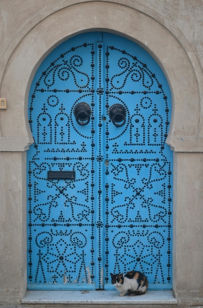 Photo le chat devant la porte fermée de la maison