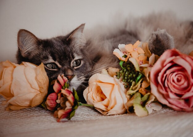 Chat domestique poilu avec de grands yeux verts cachés derrière des fleurs sur un lit.