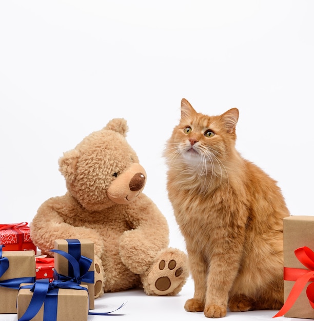 Chat gingembre adulte assis au milieu de boîtes enveloppées dans du papier brun et attaché avec un ruban de soie, des cadeaux et un animal sur fond blanc, carte de voeux d'anniversaire, Saint Valentin